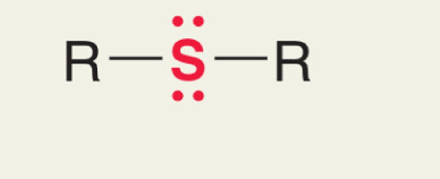 <p>What functional group is this?</p>