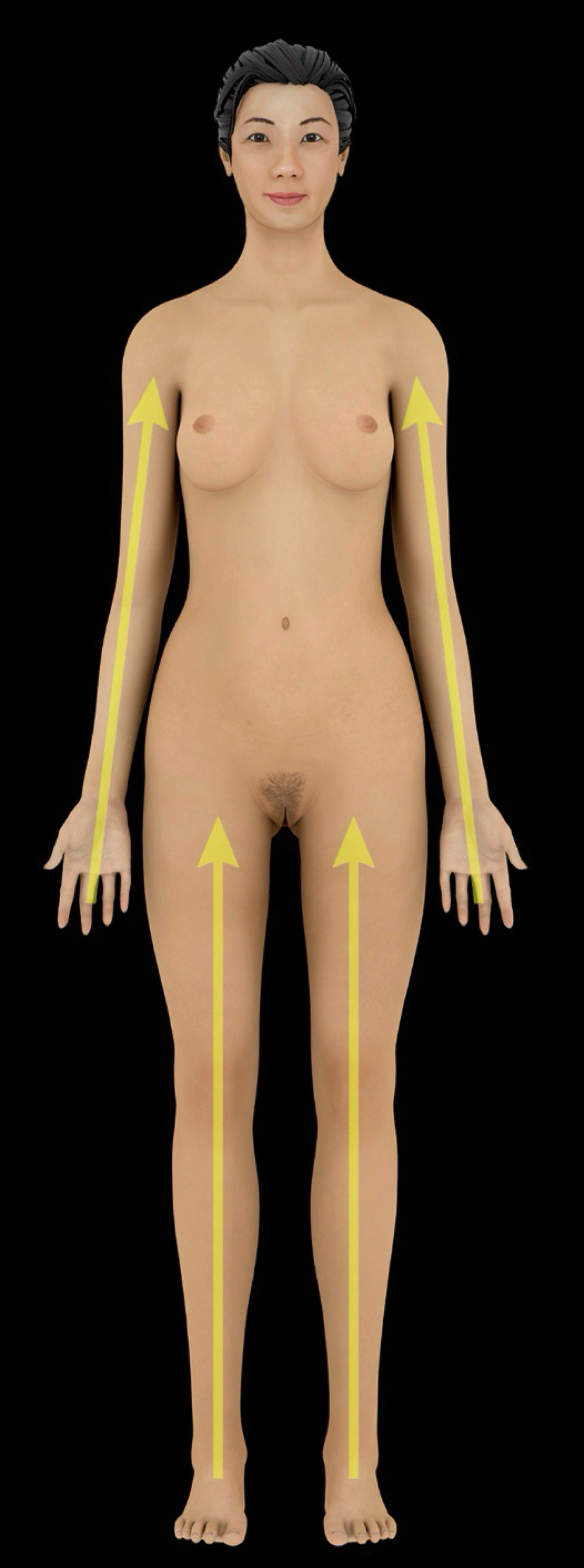 <p>closer to the trunk or origin of a structure </p><p>-ex: the elbow is <strong>proximal</strong> to the wrist</p><p>-opposite of distal</p>