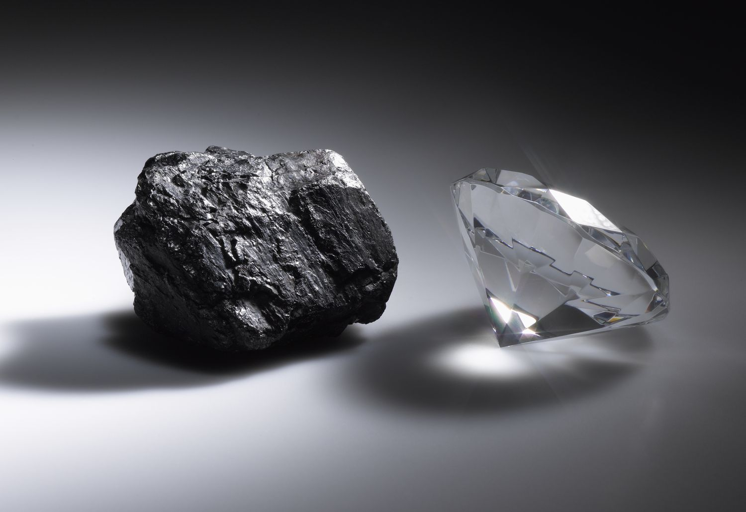 <p>Describe the two types of carbon.</p>