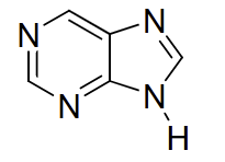 <p>Purine</p>