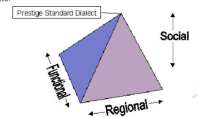 <p>The study of how language is used in social context.</p><ul><li><p>Language use and social class</p></li><li><p>Language use and gender</p></li><li><p>Multilingualism, etc</p></li></ul><p></p>