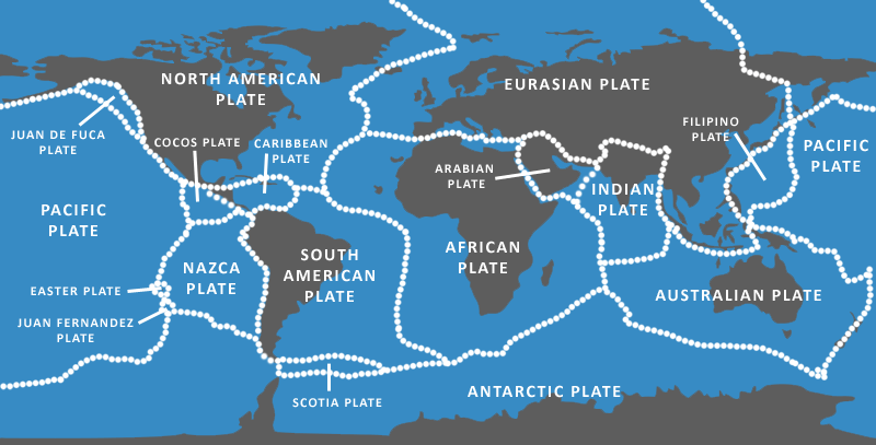 <ul><li><p>pacific plate</p></li><li><p>north-american plate</p></li><li><p>eurasian plate</p></li><li><p>african plate</p></li><li><p>antarctic plate</p></li><li><p>indo-australian plate</p></li><li><p>south-american plate</p></li><li><p>nazca plate</p></li></ul>