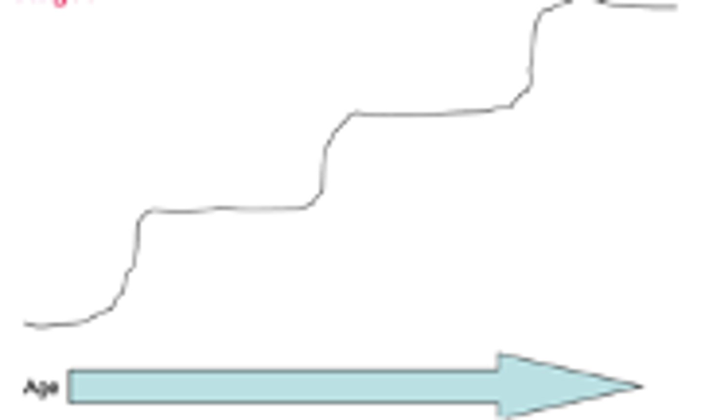 <p>stages</p><p>-- development is much more dramatic</p><p>-- something may happen at one stage but not the other</p><p>-- same child may completely transform by next stage; children act very differently in different stages</p>