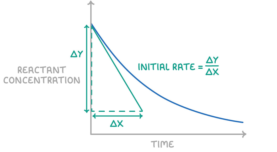 <ul><li><p>measure gradient of the curve by drawing a tangent </p></li><li><p>gradient = change in y/change in x</p></li></ul><p></p><p></p>