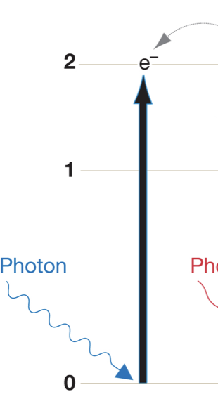 <p>Blue photons bump an electron up ___ energy levels.</p>