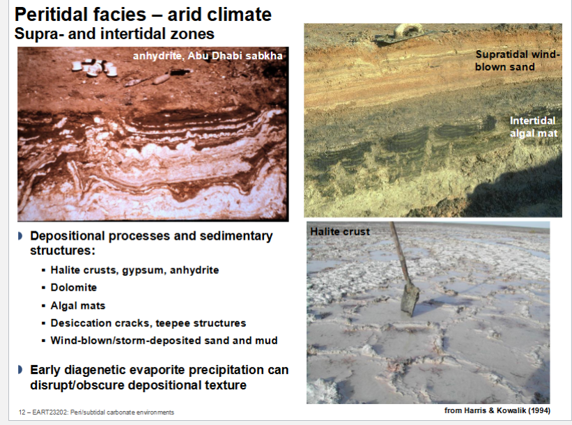 <p>As evaporite crystallise and precipitate, can disrupt original depositional texture. </p>