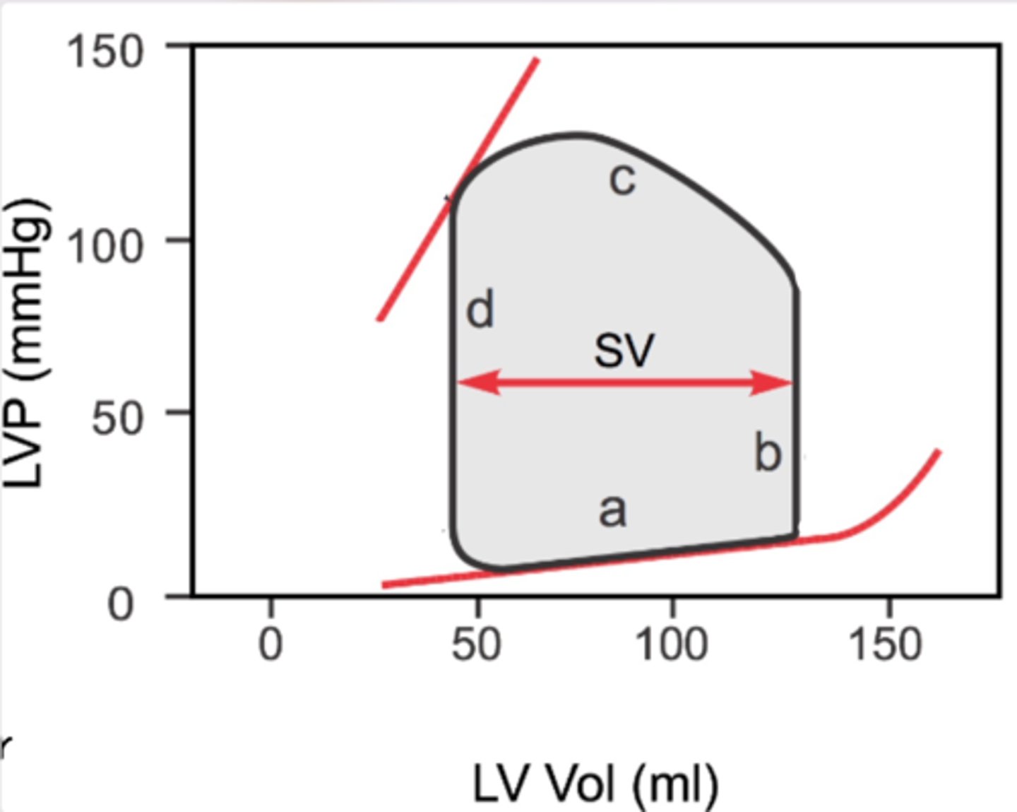 <p>a: diastole (peak end diastolic volume)</p><p>b: systole (isovolumetric contraction; no change in ventricular volume)</p><p>c: ventricular contraction (ventricular volume reduced- end systolic volume ~50mL)</p><p>d: diastole (isovolumetric relaxation; no change in ventricular volume) </p>