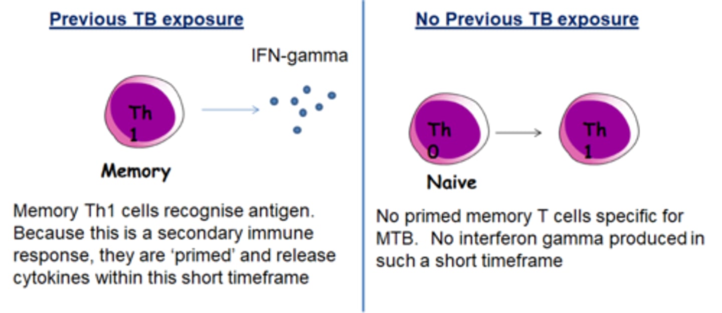 <p>blood test separates vaccine and exposed groups.</p><p>TB antigen added to blood, interferon released if Tc activated by mantoux test</p>