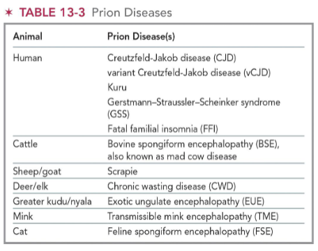 <ul><li><p><span><span>Infectious self-replicating proteins that convert normal proteins into abnormal structures</span></span></p></li><li><p><span><span>Group of diseases caused by prions called transmissible spongiform encephalitis (TSE)</span></span></p></li><li><p><span><span>Affect brain and neurologic function</span></span></p></li></ul><p></p>
