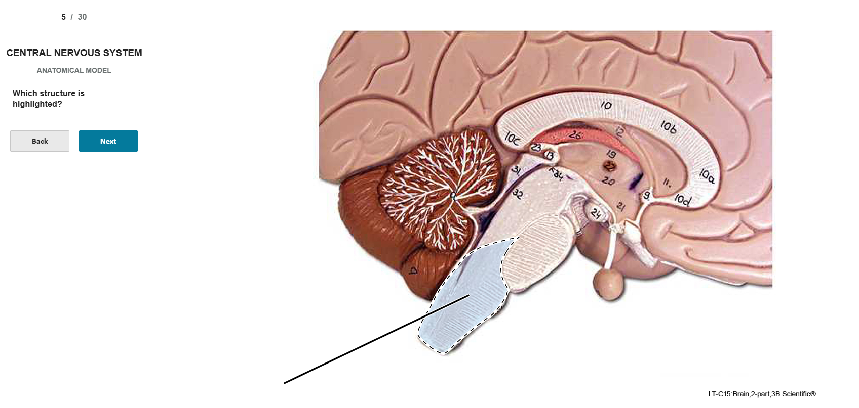 knowt flashcard image
