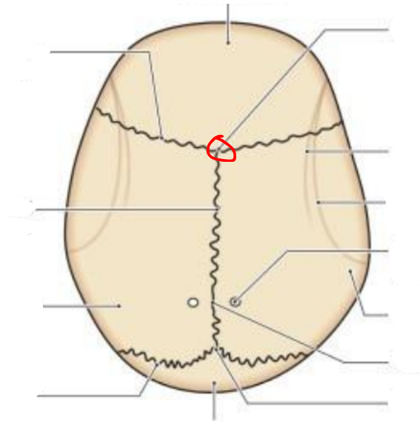 <p></p>