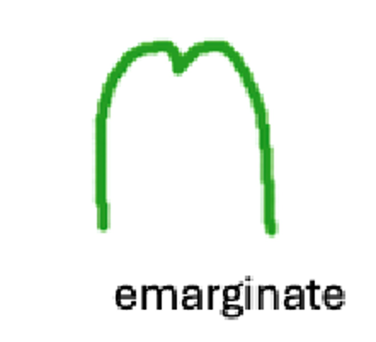 <p>It would have a little notch at the top (like an old man chinor a butt)</p>