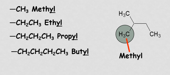 <p>Named by dropping the “ane” ending and replacing it with “yl”</p>