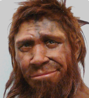 <ol><li><p>Discovery: 1856</p></li><li><p>Location: Neander Valley, Germany</p></li><li><p>Dates: Early Neanderthals": 400/300 - 130 ka; "Classic Neanderthals": 130 – 40 ka</p></li><li><p>Range: Europe and Asia</p></li><li><p>Pronunciation: neander-TAL, not –thal.</p></li></ol><p></p>