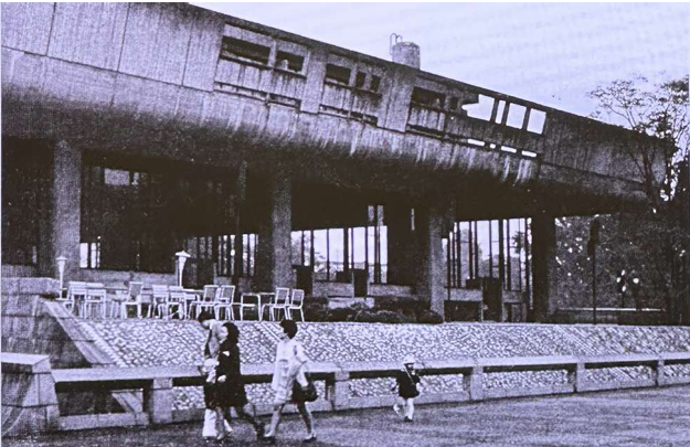 term image