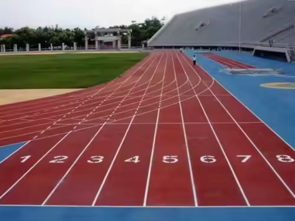 <p>pista</p>