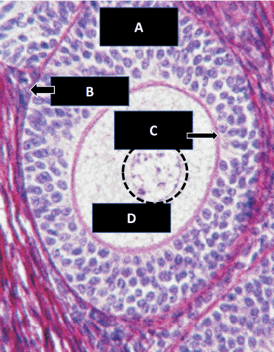 <p>b: structure</p>