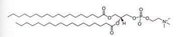 <p>Identify this lipid nanoparticle</p>