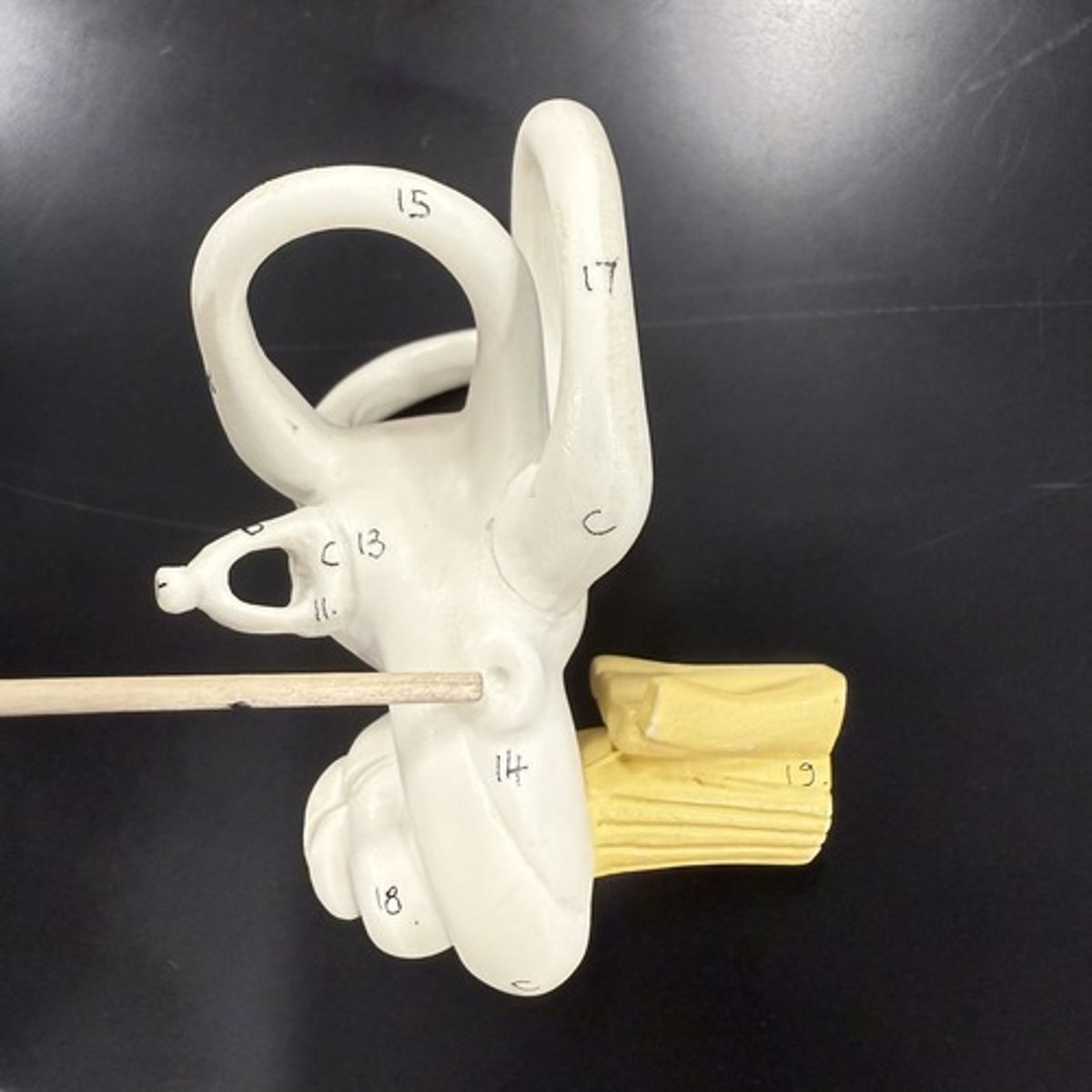 <p>What is this structure?</p>