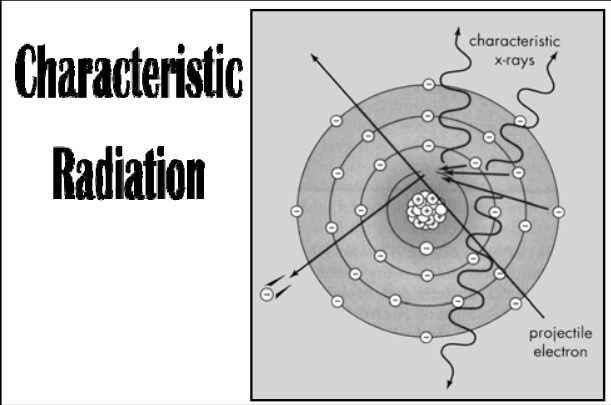 <p><span><strong>negative</strong></span></p>