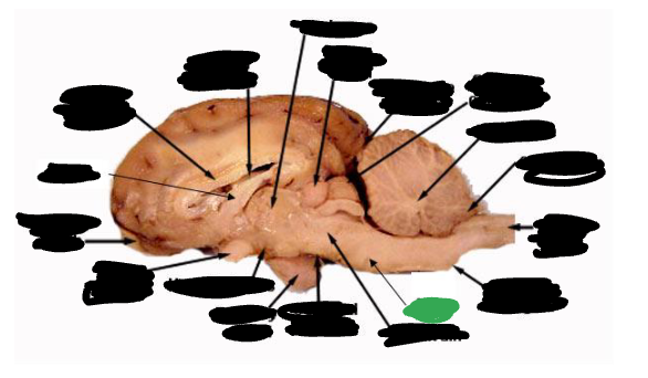 <p></p>