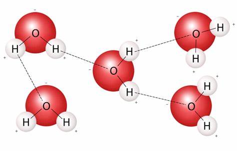 <p>where are hydrogen and polar covalent bonds?</p>