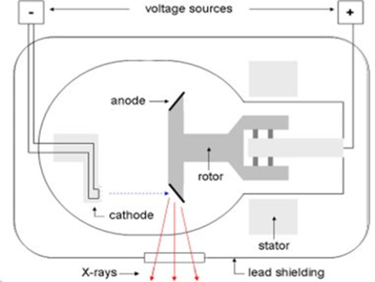 <p>- Step up transformer is at the anode kVp selector: step up transformer, anode</p><p>- mA selector: step down transformer, cathode</p><p>- 99% heat and light lost, 1% xrays</p>