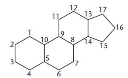 <p>metabolic derivatives of terpenes; four cycloalkane rings fused together: three cyclohexane and one cyclopentane; functionality is determined by the oxidation status of these rings, as well as the functional groups they carry</p>