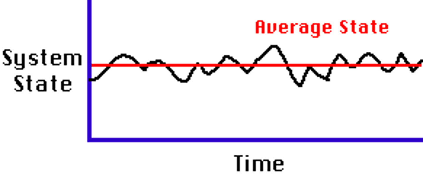 <p>The condition of an open system in which there are no changes over the longer term, but in which there may be oscillations in the very short term.</p>