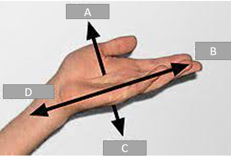 <p>A</p>
