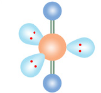 <p>m: linear e: trigonal bipyramidal</p>