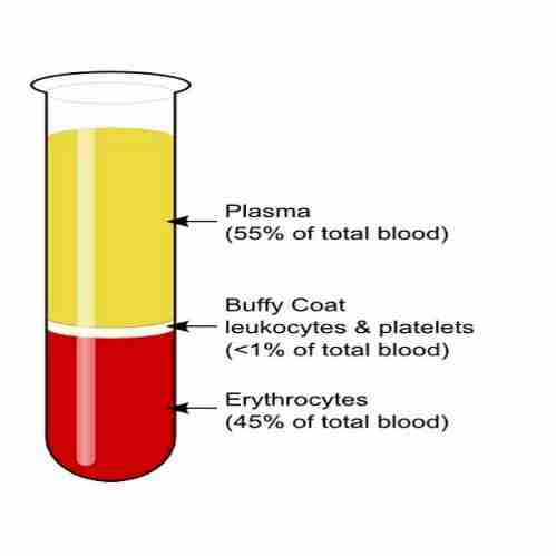 <p>55% of blood plasma and 45% of blood cells </p>