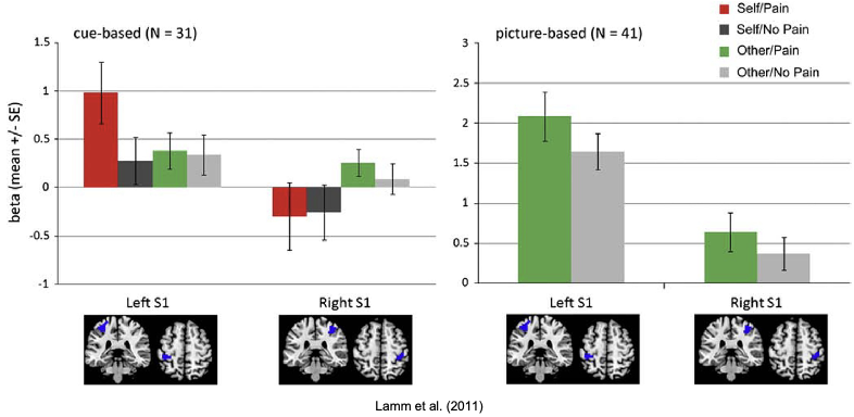 <ul><li><p><span><span>Seeing the pictures with actual bodies there was a lot more activation relative to cue based</span></span></p><ul><li><p><span><span>Stronger effects in left than right hemisphere which is confusing as right is more to do with emotion</span></span></p></li></ul></li></ul><p></p>