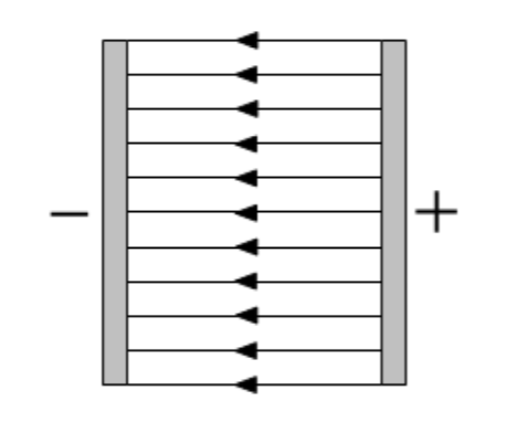 <ol start="13"><li><p>Draw the electric field between two infinite parallel plates. </p></li></ol><p></p>