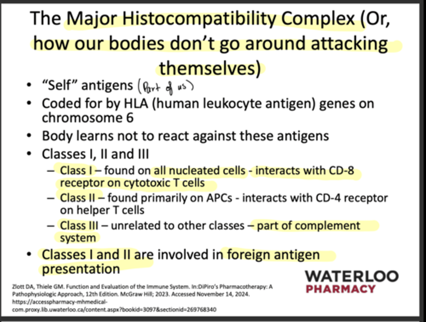 <p>-Class 1: found on all nucleated cells- interaction CD8</p><p>-Class 2: found on all APC's, interaction CD4</p><p>-Class 3: unrelated to other classes- part of complement system</p>