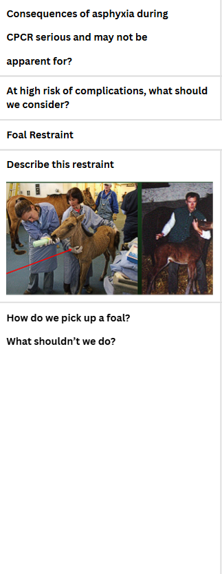 <p>Care Post CPCR</p>