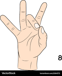<p>8</p>