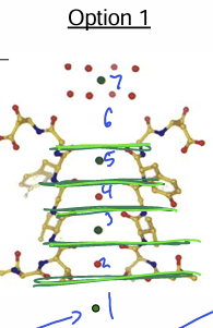 <p>Where is the third K+ ion</p>