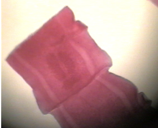 term image