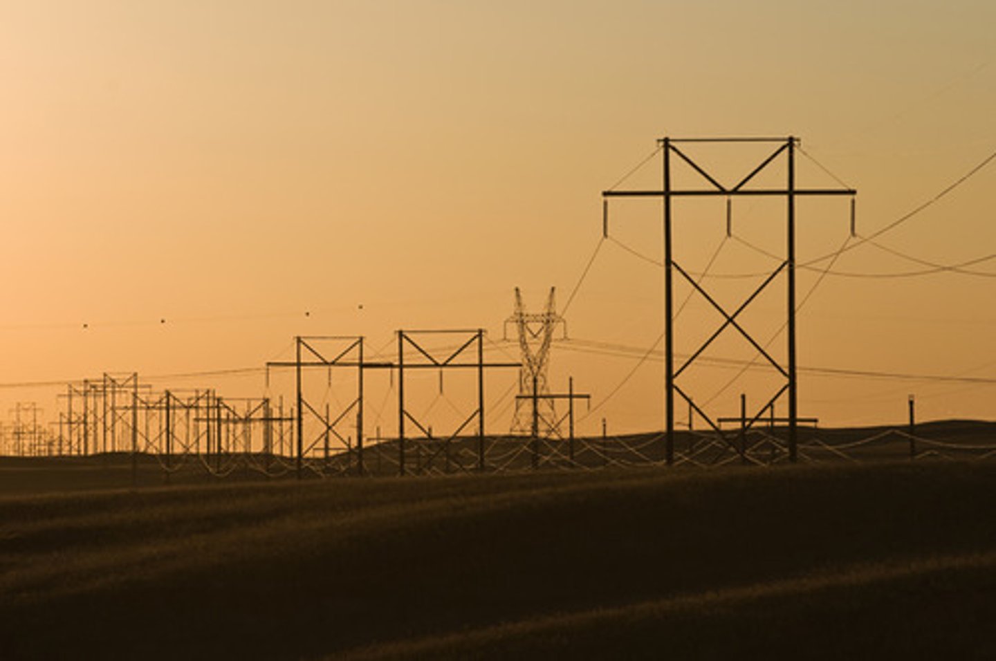 <p>/ɡrɪd/ (n)<br>a system of wires through which electricity is connected to different power stations across a region:</p>