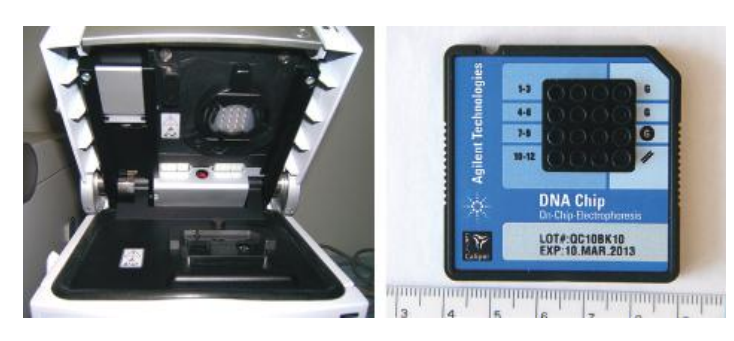 A modular instrument for gel electrophoresis. Left: Agilent 2100 Bioanalyzers contain 16-pin electrodes that fit into the wells of a chip. Right: The chip can accommodate sample wells, gel wells, and a well for a size standard.