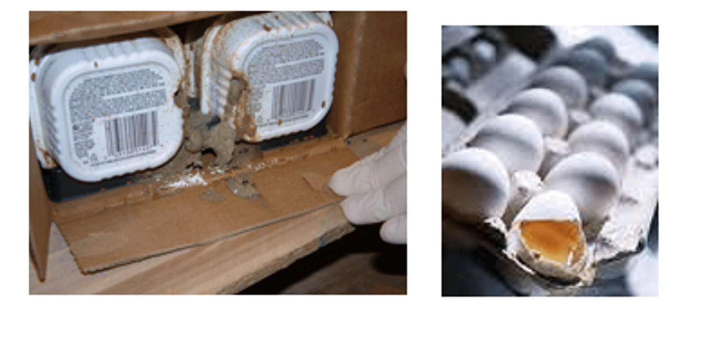 <p>Improper handling of foods - if a food Is handled improperly during packaging, transporting, drying, preserving etc...</p><p>Could be related to biological risks </p><p> entry of microorganisms or insects into food</p>