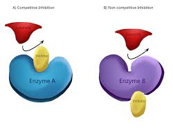 <p> <strong>decreases enzyme activity</strong>.  Allosteric inhibition occurs when a <strong>molecule binds to an enzyme at a site other than the active site, causing a shape change that reduces its activity. </strong>This regulatory mechanism helps control metabolic pathways. It’s often used in feedback inhibition, where the end product of a pathway slows its own production.</p>