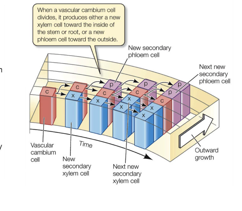 <p>review this slide</p>