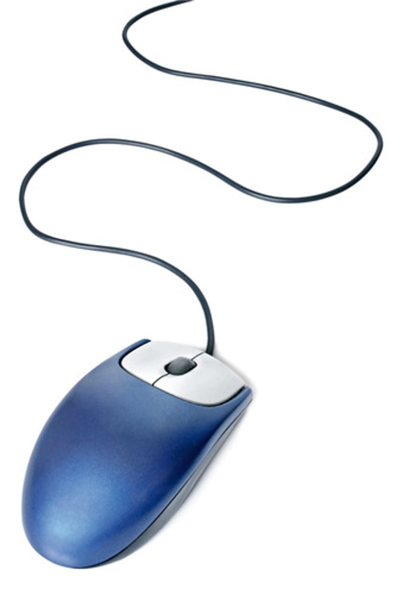 <p>mouse</p>