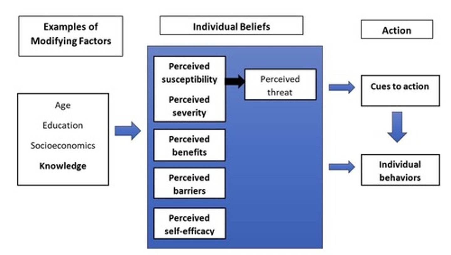 <p>percieved benefits, threat, barriers, and self efficacy</p>