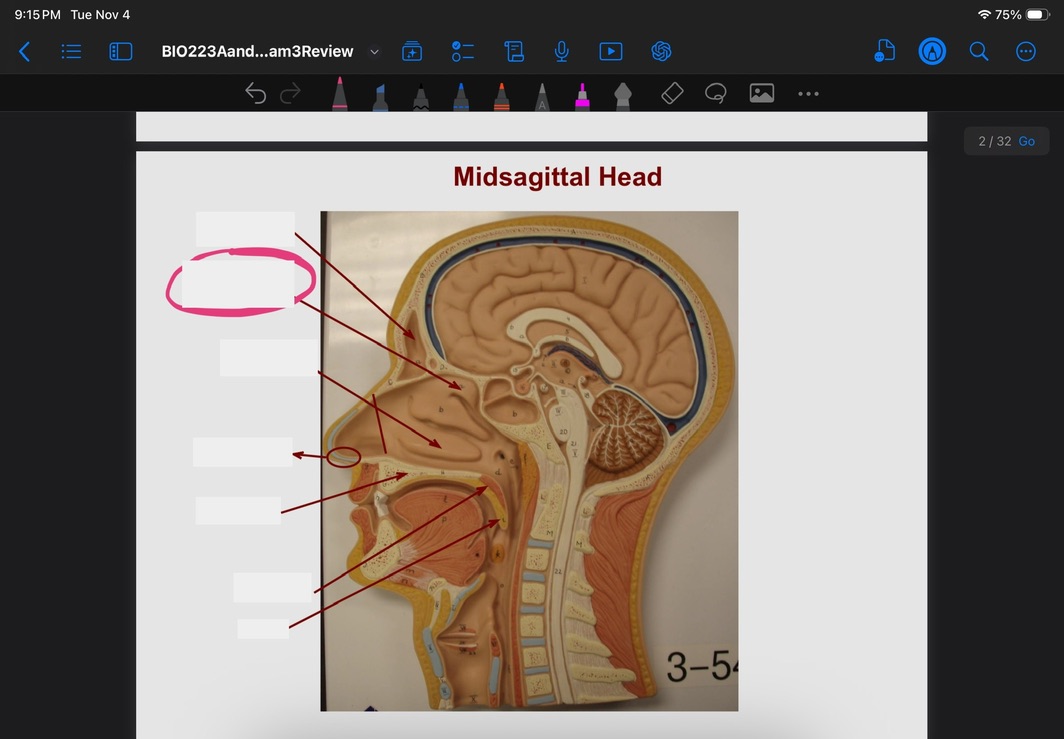 <p>What is this?</p>