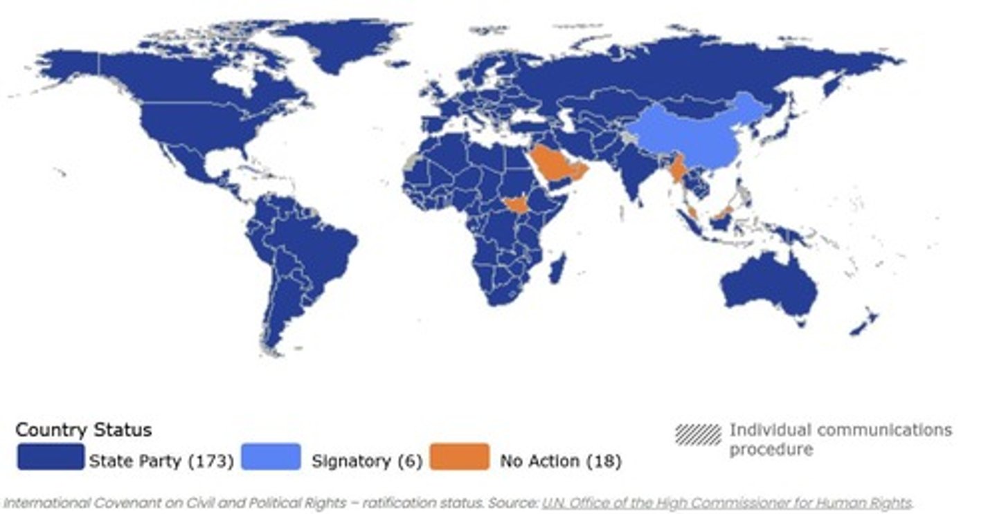 <p>International Covenant on Civil and Political Rights (ICCPR) and International Covenant on Economic, Social, and Cultural Rights (ICESCR).</p>