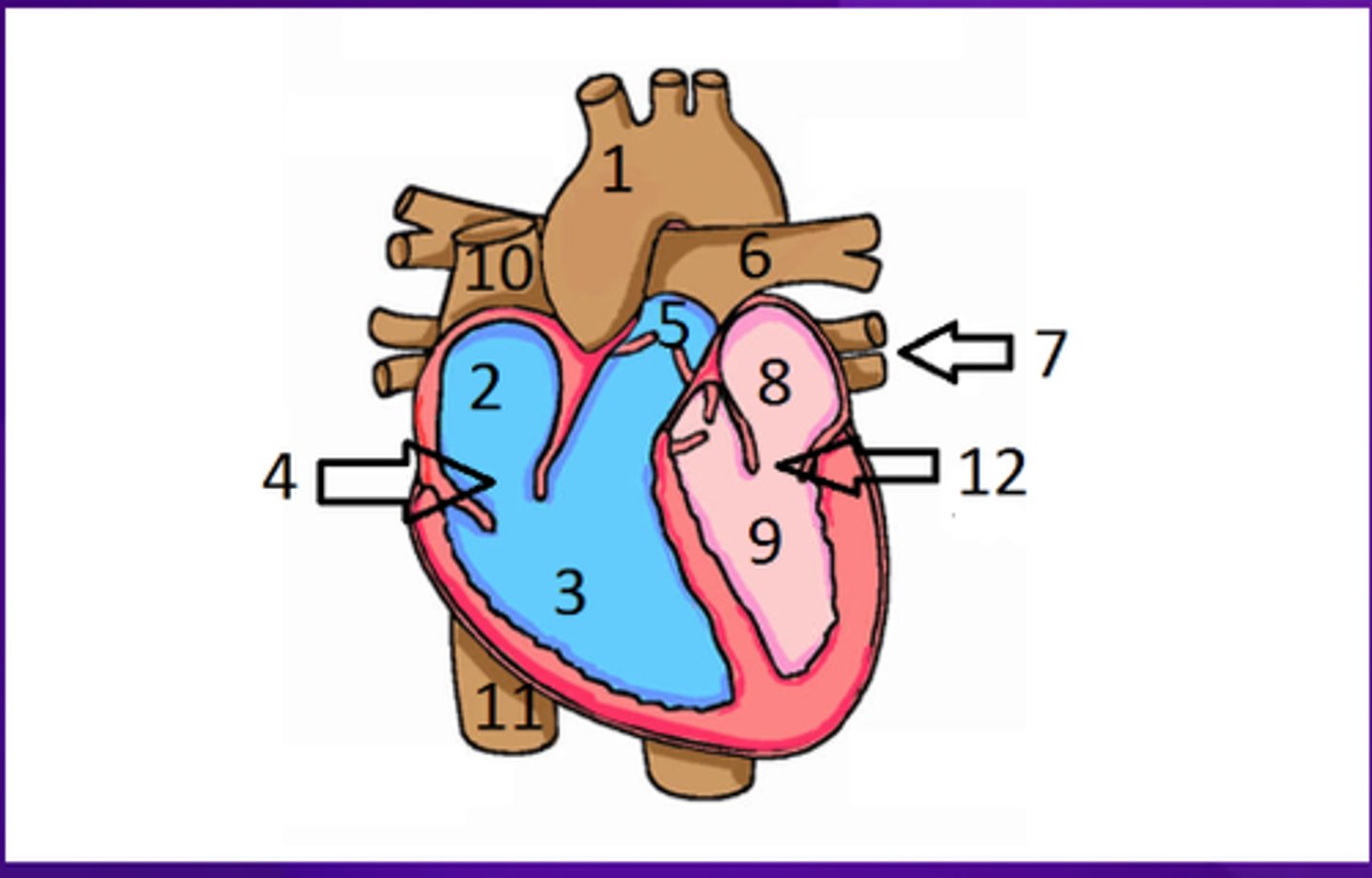 <p>What is number 3?</p>