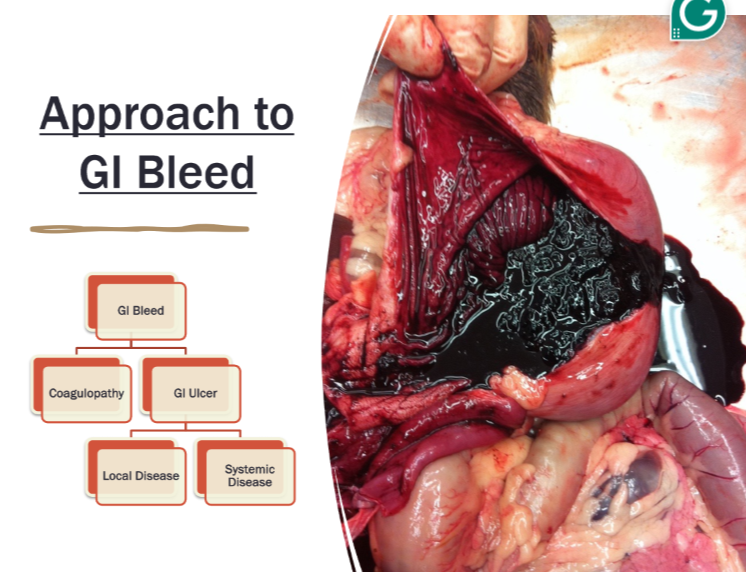 <p>GI bleeding with vomiting </p>